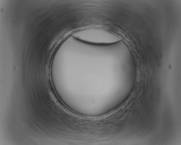 X0000083630002200702120738