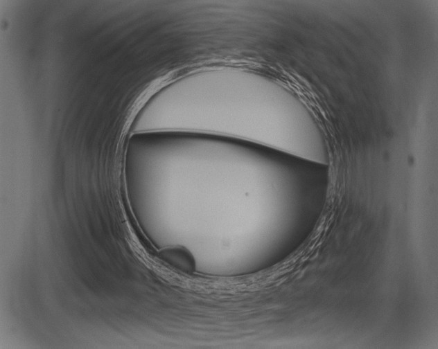X0000083630003200702120738