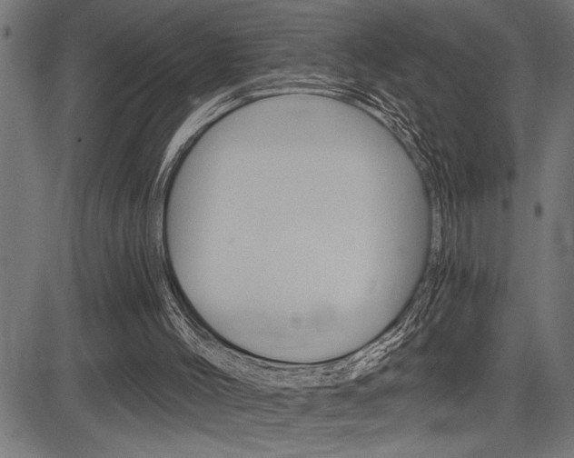 X0000083630004200702120738