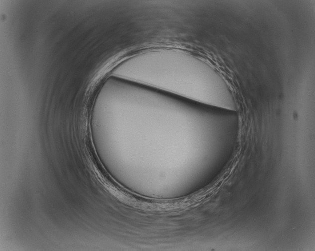 X0000083630005200702120738