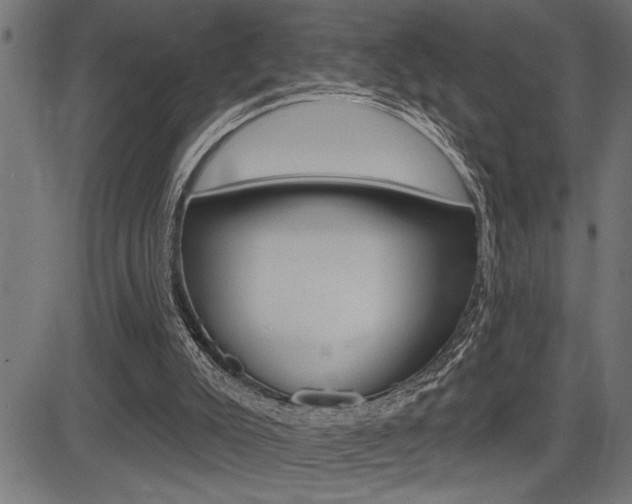 X0000083630007200702120738