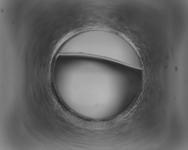 X0000083630008200702120738