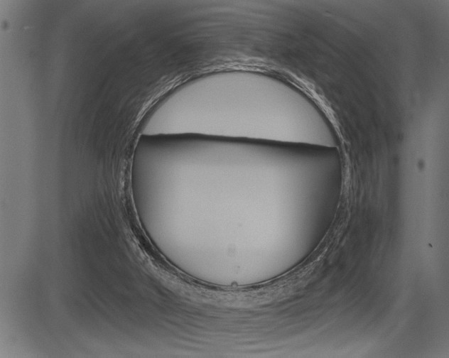X0000083630010200702120738