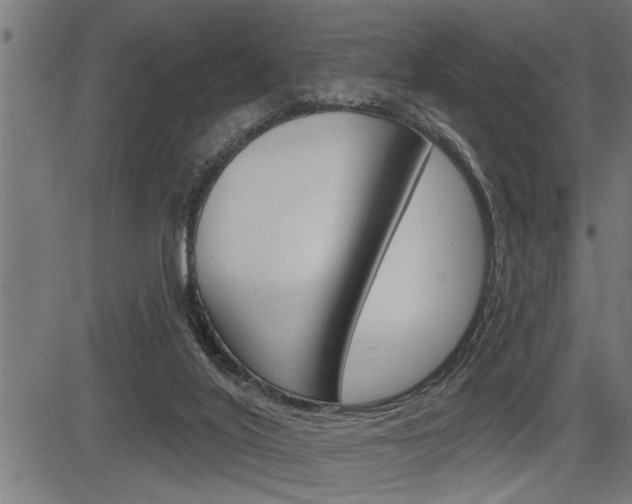 X0000083630020200702120738