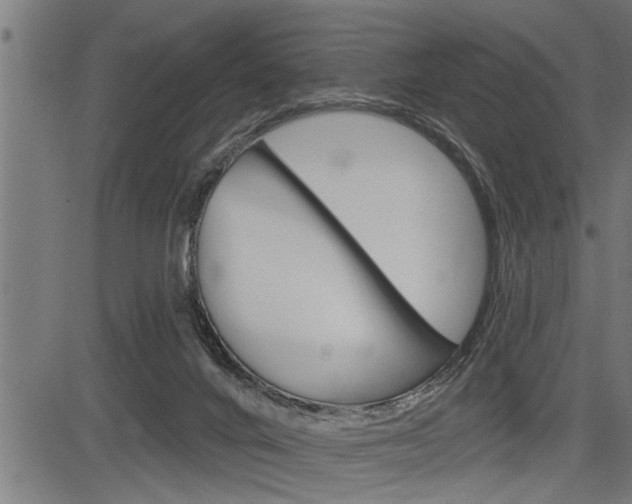 X0000083630024200702120738