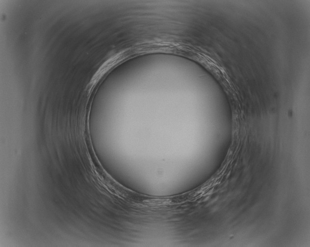 X0000083630051200702120736