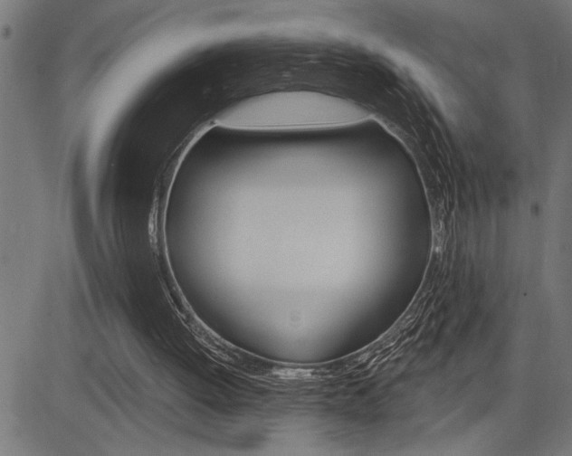 X0000083630052200702120736