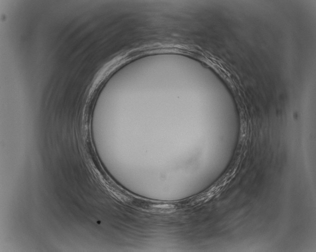 X0000083630053200702120736
