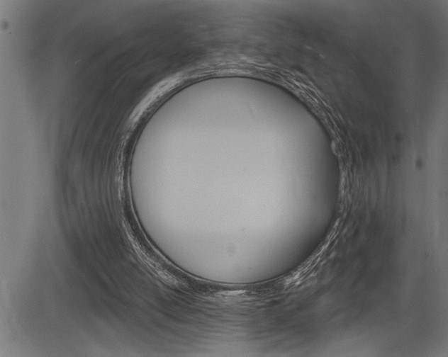 X0000083630054200702120736