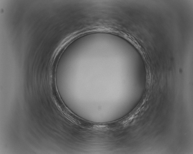 X0000083630055200702120736
