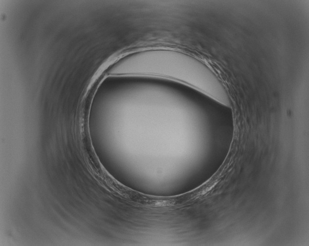 X0000083630056200702120736