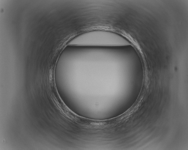 X0000083630057200702120736