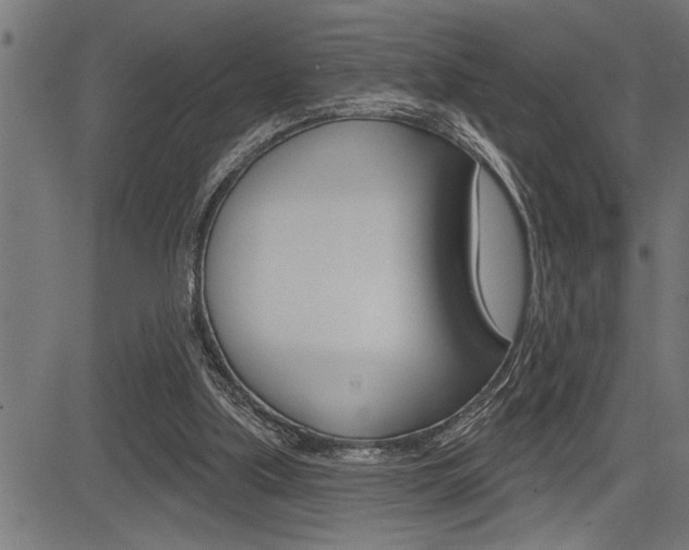 X0000083630059200702120736