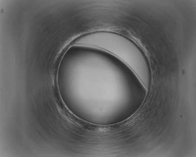 X0000083630060200702120737