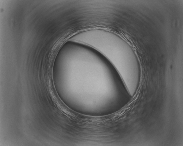 X0000083630097200702120736