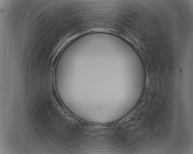 X0000083630098200702120736