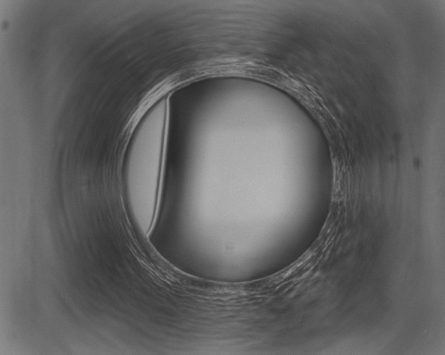 X0000083630099200702120736