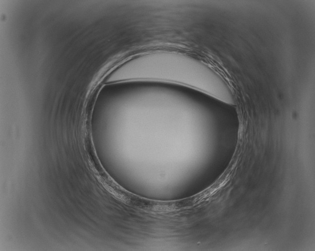 X0000083630101200702120736