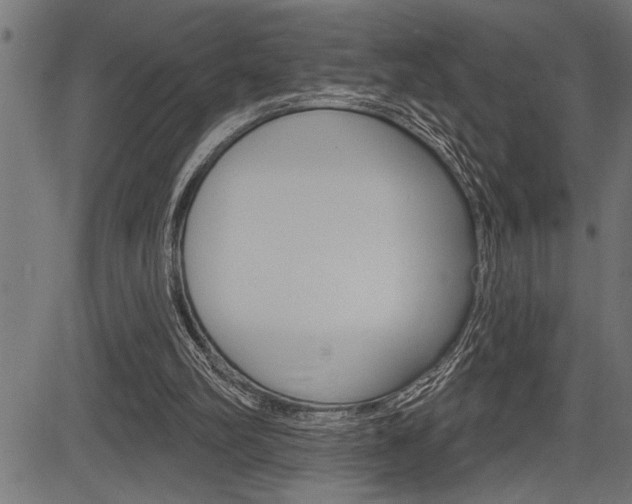 X0000083630102200702120736