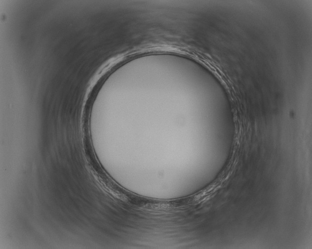 X0000083630104200702120736