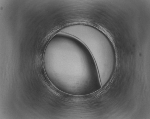 X0000083630105200702120736
