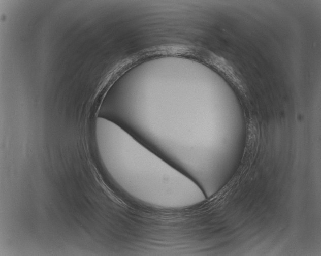 X0000083630110200702120736