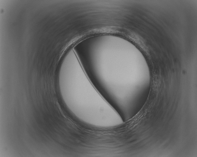 X0000083630111200702120736