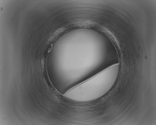 X0000083630113200702120736