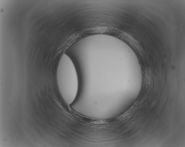 X0000083630118200702120736