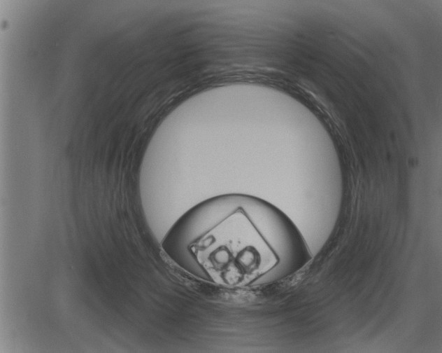 X0000083630125200702120736