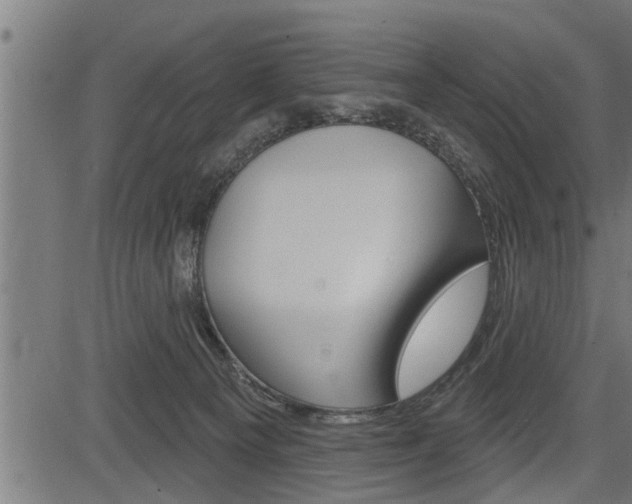 X0000083630129200702120736