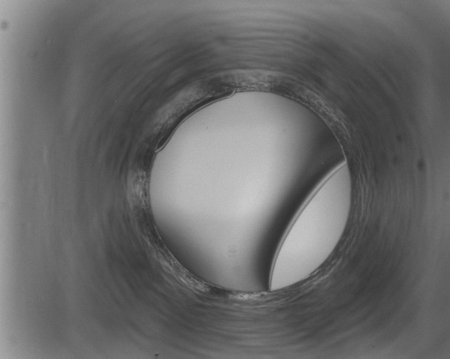 X0000083630141200702120736