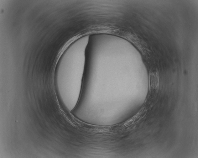 X0000083630147200702120735