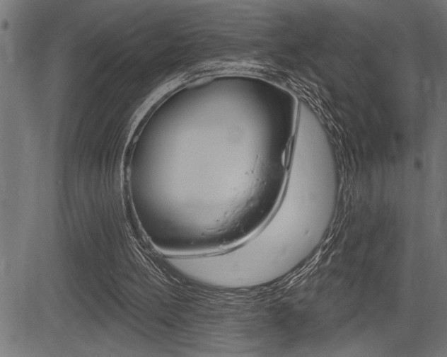 X0000083630148200702120735