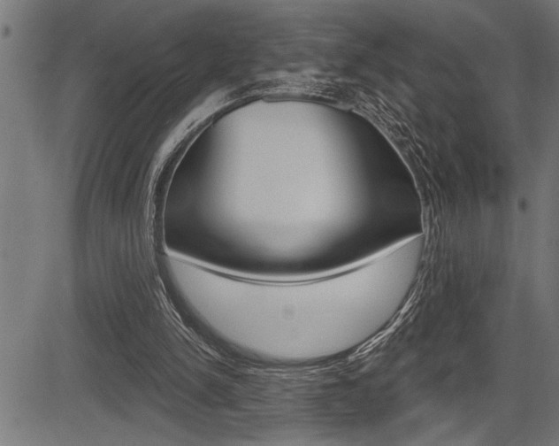 X0000083630150200702120735