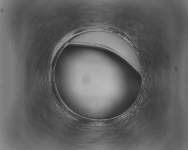 X0000083630152200702120735