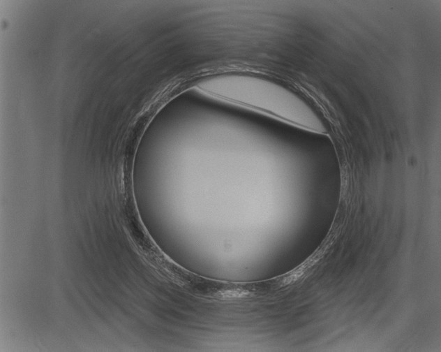 X0000083630158200702120735