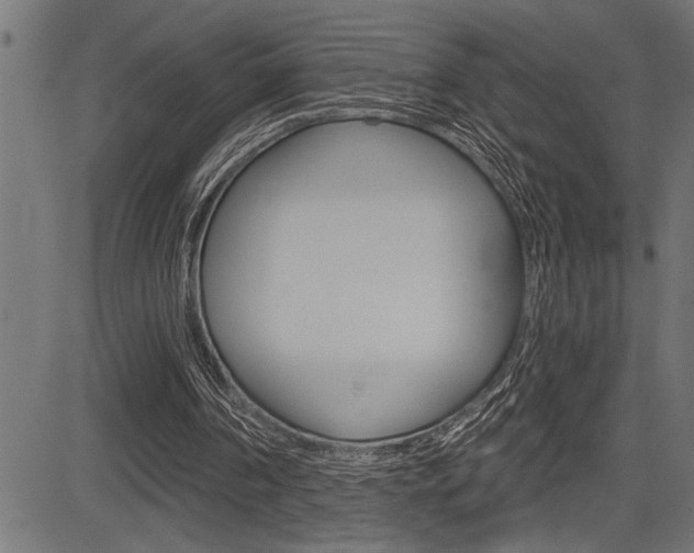 X0000083630194200702120735