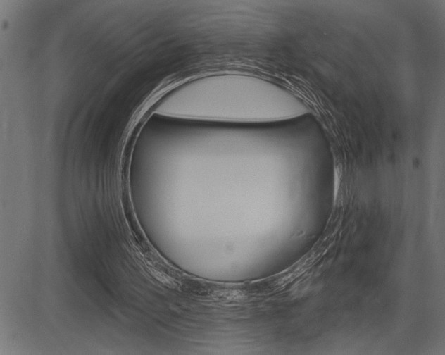 X0000083630195200702120735