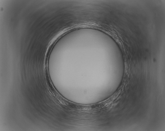 X0000083630196200702120735