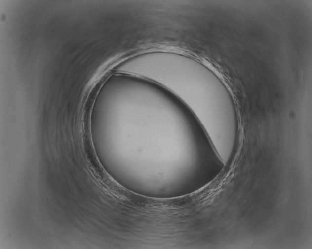 X0000083630199200702120735