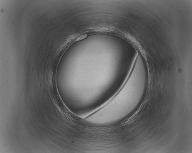 X0000083630201200702120735