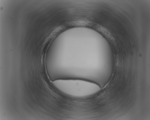 X0000083630206200702120735