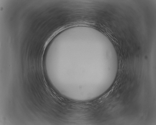 X0000083630244200702120733