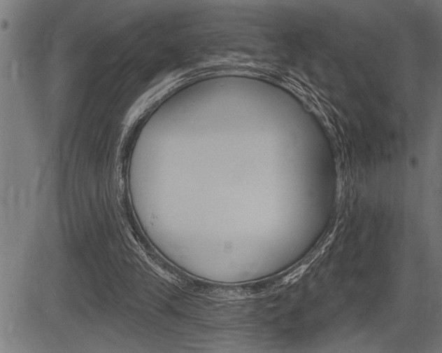 X0000083630245200702120733