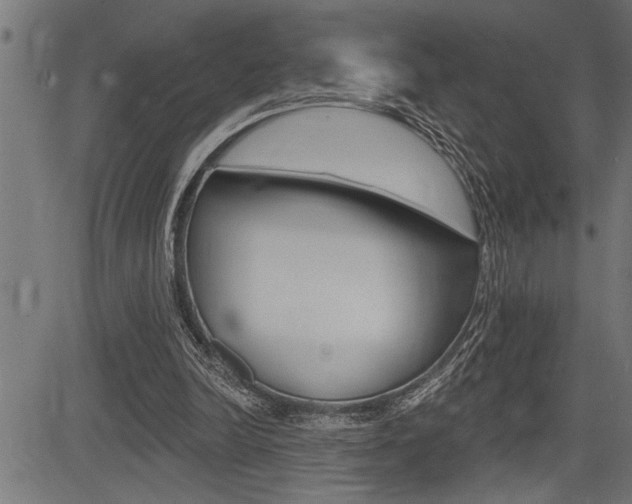X0000083630246200702120733