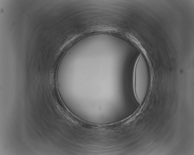 X0000083630249200702120733