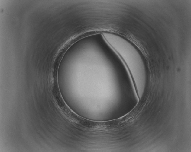 X0000083630252200702120733