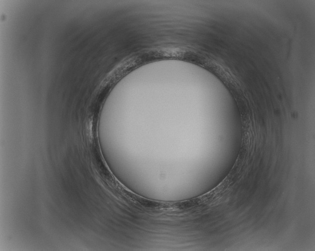 X0000083630262200702120734