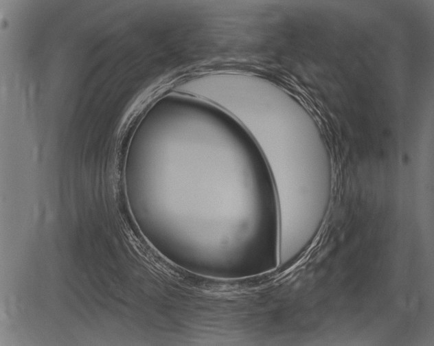X0000083630293200702120733